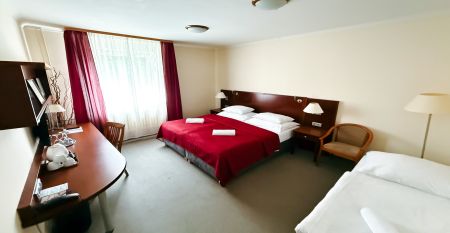 Hotel Panorama****
