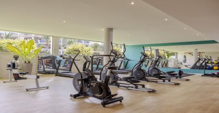 Hotel Zafiro Palace Palmanova*****